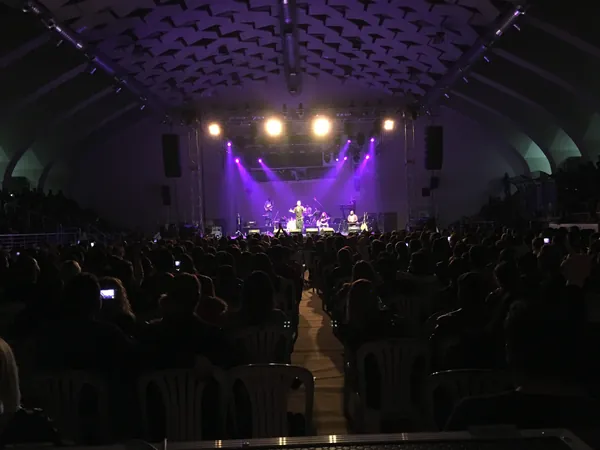 Concert crowd under purple light