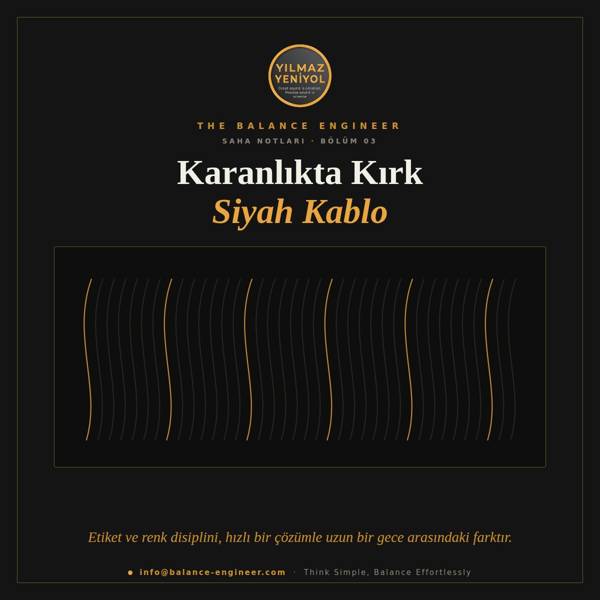 Karanlıkta Kırk Siyah Kablo